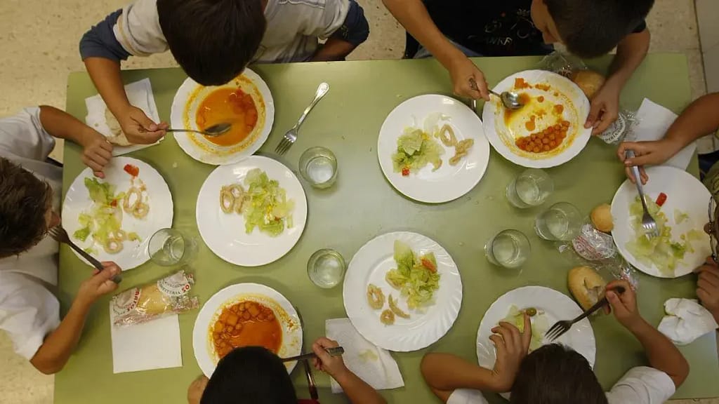 Alerta Nutricional: Un Análisis de la OCU Revela Déficits Considerables en Menús Escolares Españoles