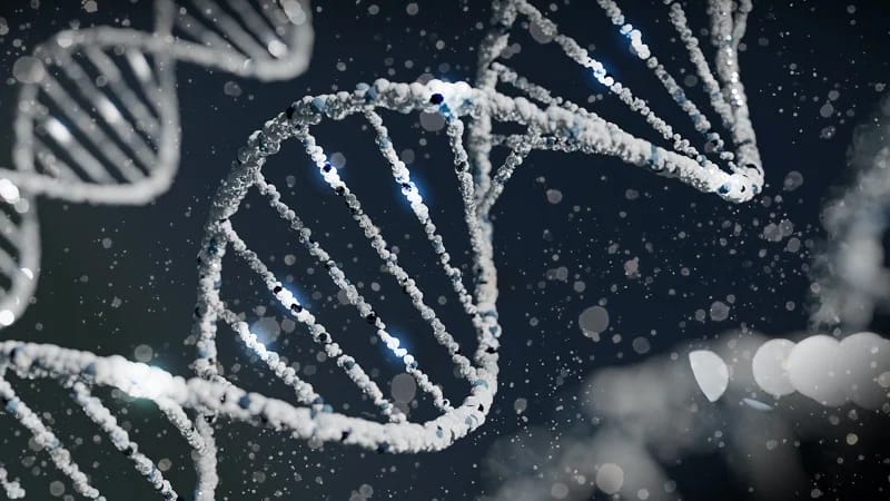 Descubrimiento pionero: terapia con ARN logra frenar el cáncer