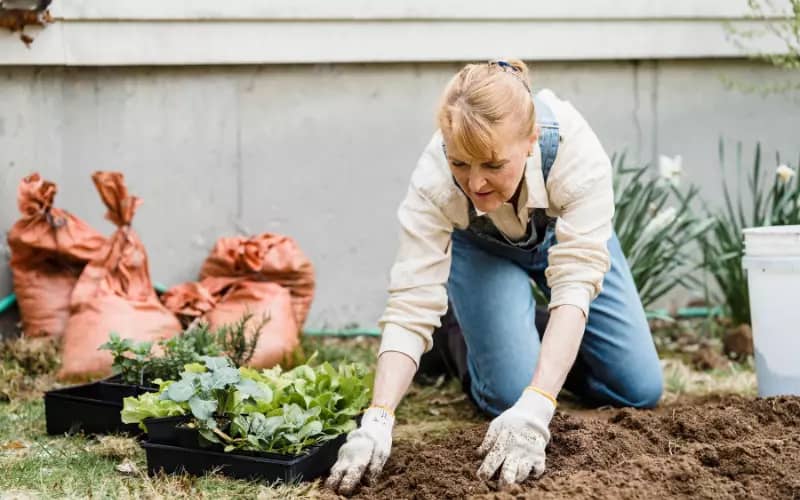 La jardinería, un hobby para cuidar la salud mental
