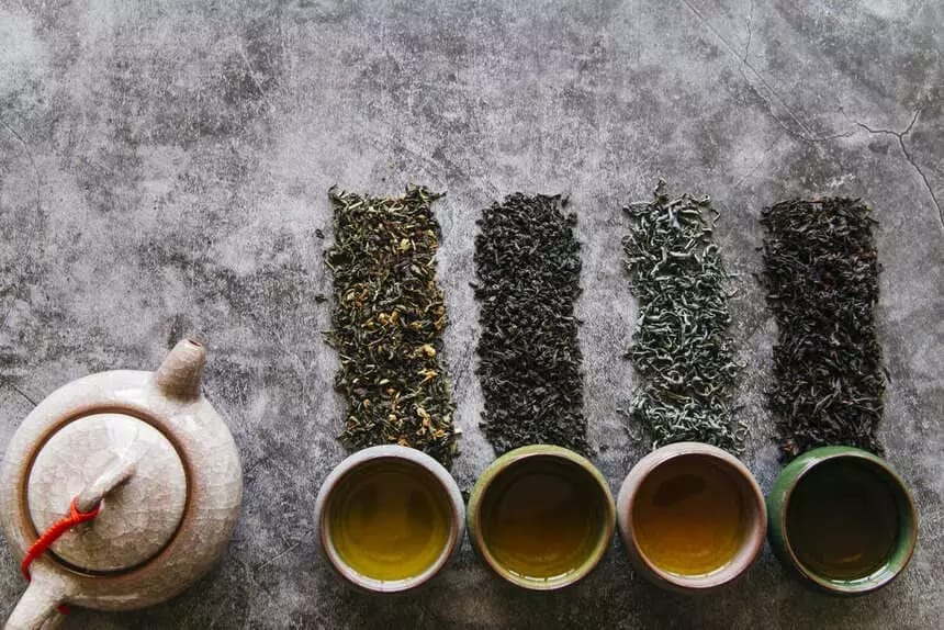 Tipos de Té y sus Impresionantes Beneficios para la Salud